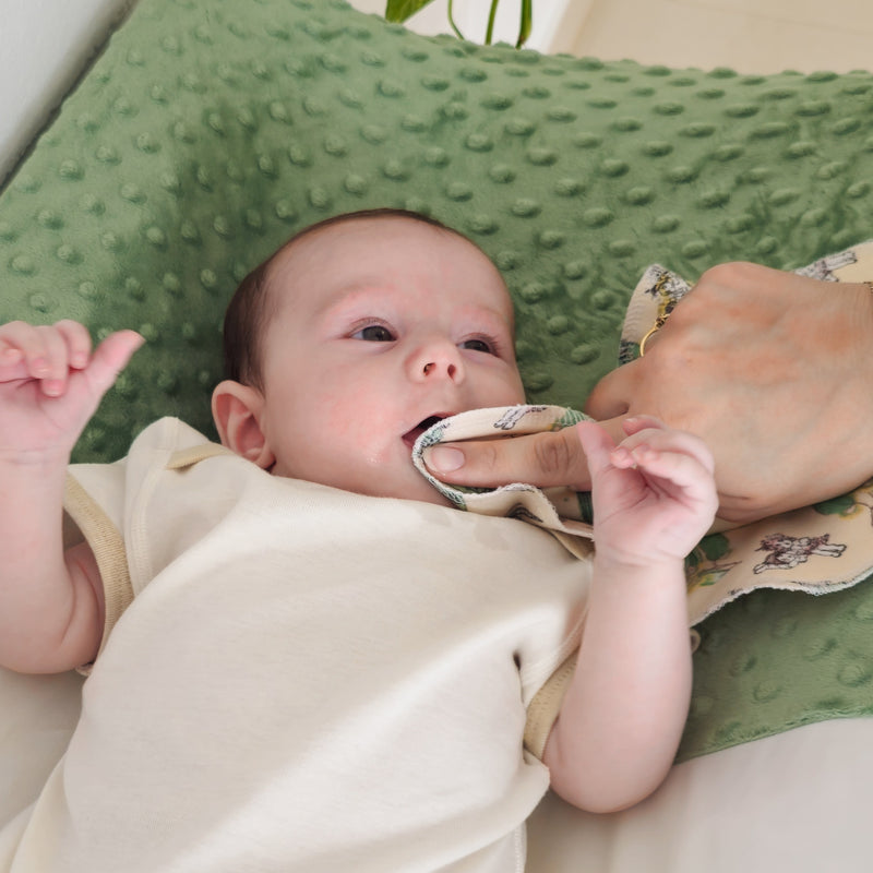 Reusable Baby Wipes